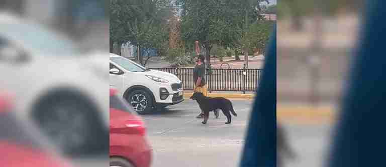 Un hombre y su perro conquistan las calles gracias a sus acrobacias en los semáforos