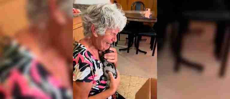 ¡Conmovedor! Así fue la reacción de unos abuelos luego de recibir una sorpresa tras la pérdida de su mascota