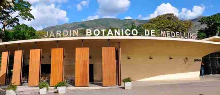 «Iluminaciones: una mirada a los helechos en Colombia» llega al Jardín Botánico de Medellín