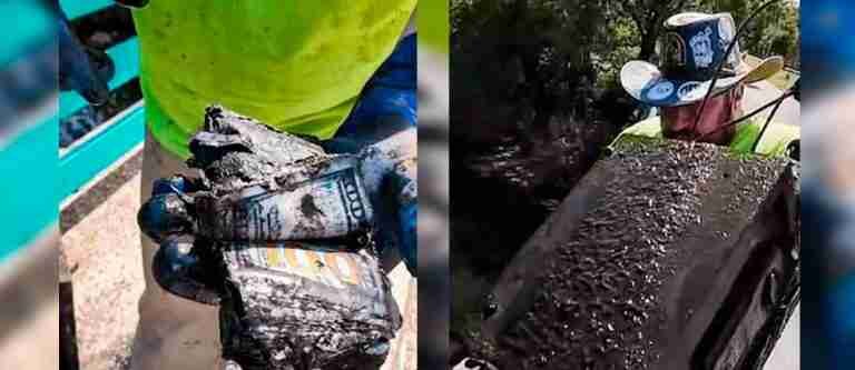 Tesoro oculto: pareja de aventureros descubre caja fuerte con 100.000 US en un parque de Nueva York