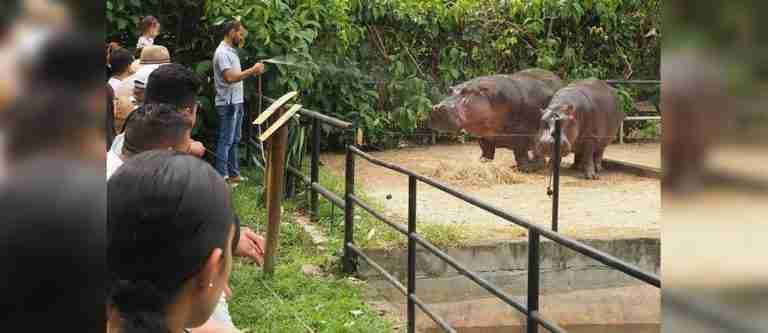 Los zoológicos en Colombia ahora serán parques de la conservación