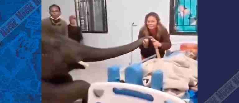 Elefante conmueve al visitar a su cuidador enfermo