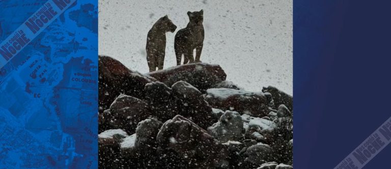 ¿Qué está pasando? Sorprendente nevada en África desconcierta al mundo