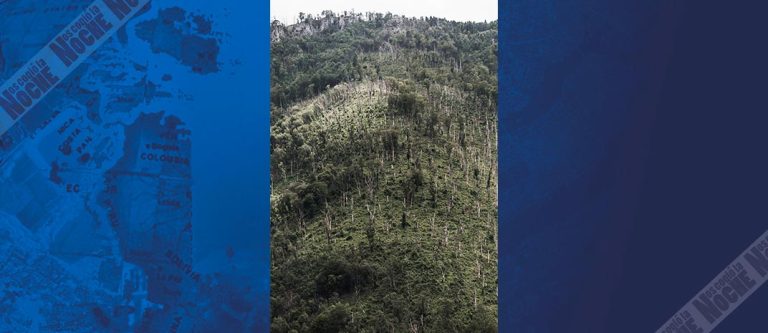 Colombia logra la menor deforestación en 23 años, pero enfrenta retos para mantener el progreso