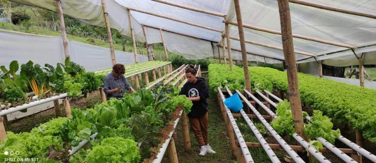 El apoyo a nuestros campesinos y el desarrollo rural está creciendo en Envigado