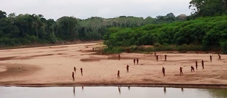 Aparece tribu amazónica por primera vez en años debido a la tala de árboles