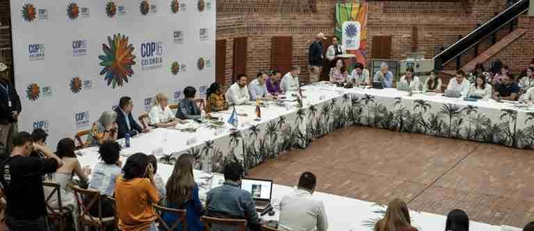 Amenazas de disidencias de las Farc pondrían en riesgo la COP16