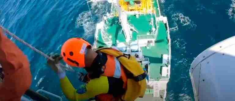 36 horas después de ser arrastrada al mar, una nadadora fue rescatada a 80 km de la costa de Japón