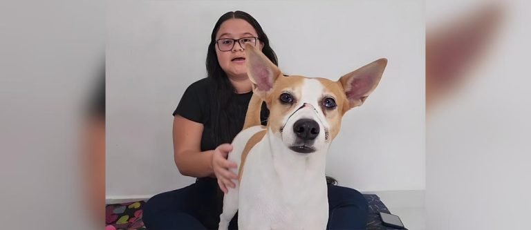 La Policía fue a rescatar a Luna de maltrato animal y se llevó tremenda sorpresa