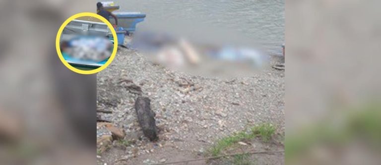 12 personas fueron masacradas en una apartada zona del Pacífico colombiano: culpan al ELN