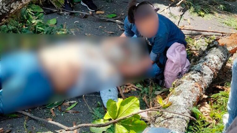 Un Policía fue la víctima mortal del desplome del árbol en la Avenida 33  
