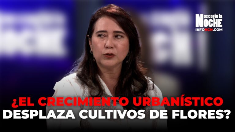¿El crecimiento urbanístico en Rionegro, La Ceja y El Retiro; está desplazando los cultivos de flores?