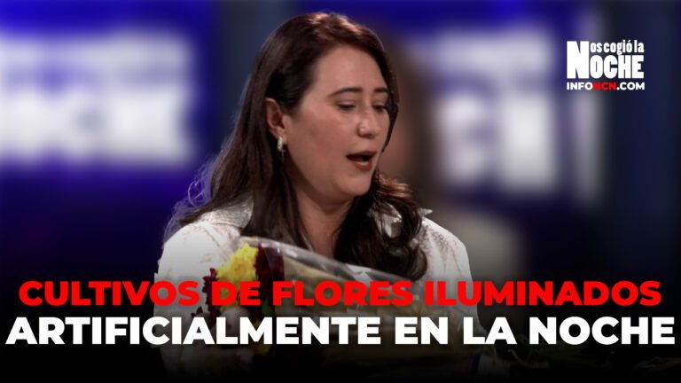 ¿Por qué los cultivos de flores los iluminan artificialmente en la noche?