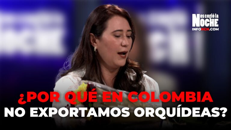 ¿Por qué en Colombia no exportamos orquídeas?