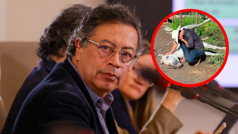 Hasta con el caballo se metió