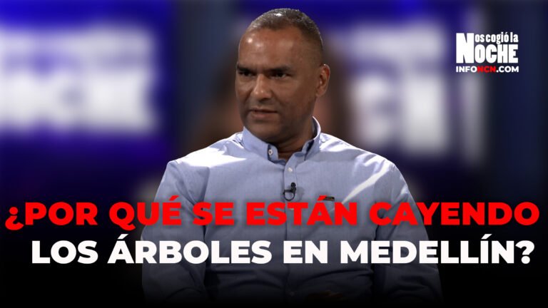 ¿Por qué se están cayendo los árboles en Medellín?