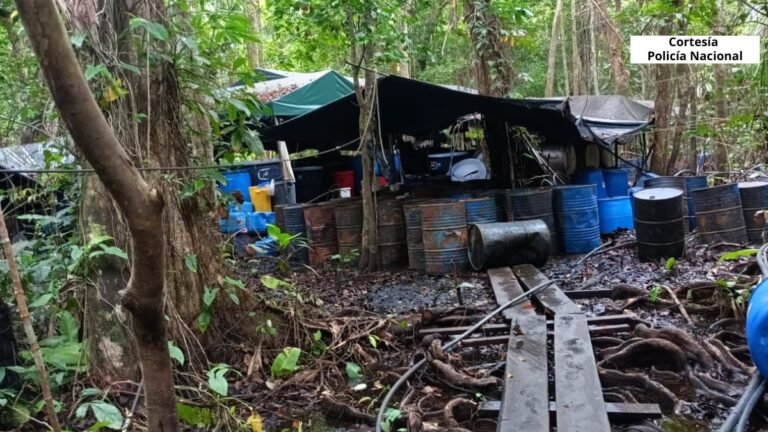 En Turbo destruyeron un gigantesco laboratorio de coca que pertenecería al Clan del Golfo