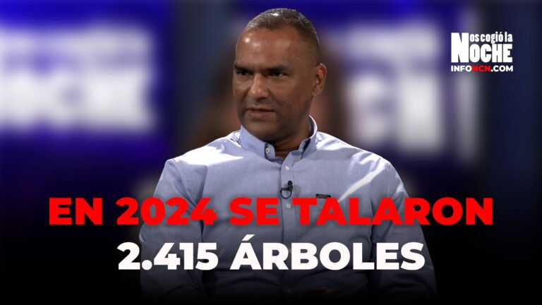 Nunca se paró la tala de árboles en Medellín; el año anterior, se talaron 2.415 árboles: Jaime Naranjo, secretario de Infraestructura de Medellín