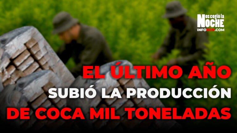 En el último año subimos la producción de coca en unas mil toneladas y volvimos a tener campamentos en las montañas con banderas del ELN: Germán Rodríguez, analista militar