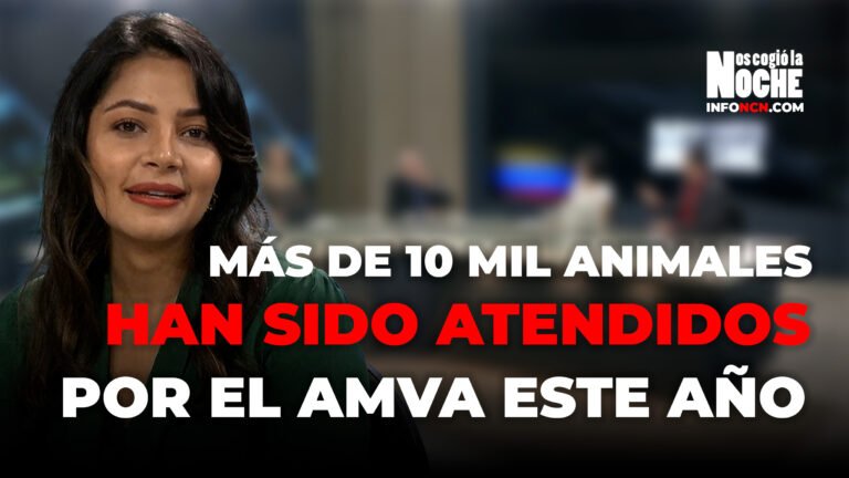 Este año, el Área Metropolitana del Valle de Aburrá atendió más de 10 mil animales: Paula Palacio, directora del Área Metropolitana del Valle de Aburrá