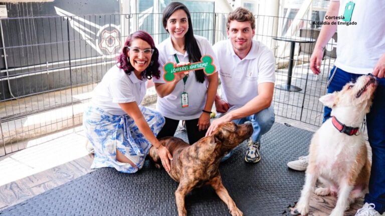 La Dirección de Bienestar Animal de Envigado busca un equilibrio entre humanos y estos seres sintientes