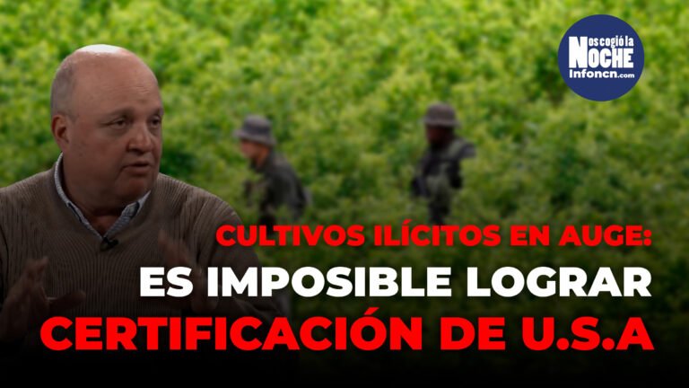 «Es imposible que Estados Unidos nos certifique, porque los cultivos ilícitos han crecido escandalosamente en el país»: Jorge Vélez, analista político