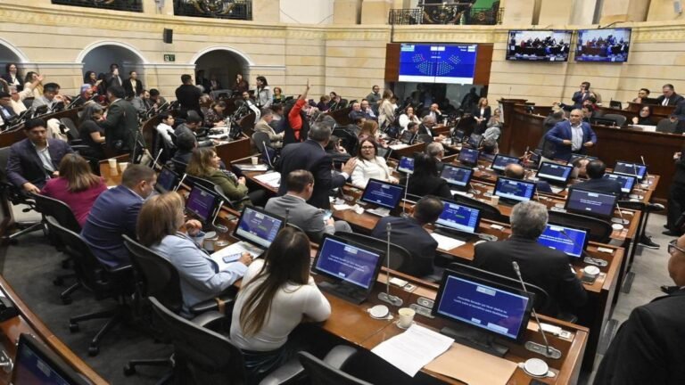 ¡Que no!
Senado vuelve a negar la consulta popular