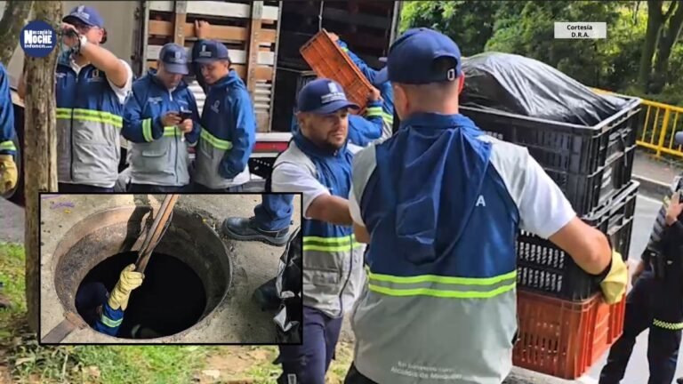 Almacenaban alimentos perecederos para la venta al público en una alcantarilla de El Poblado