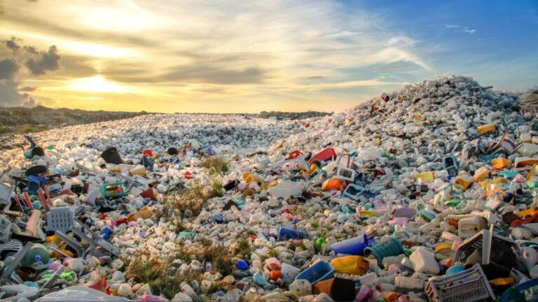 5 de junio día conmemorativo del medio ambiente