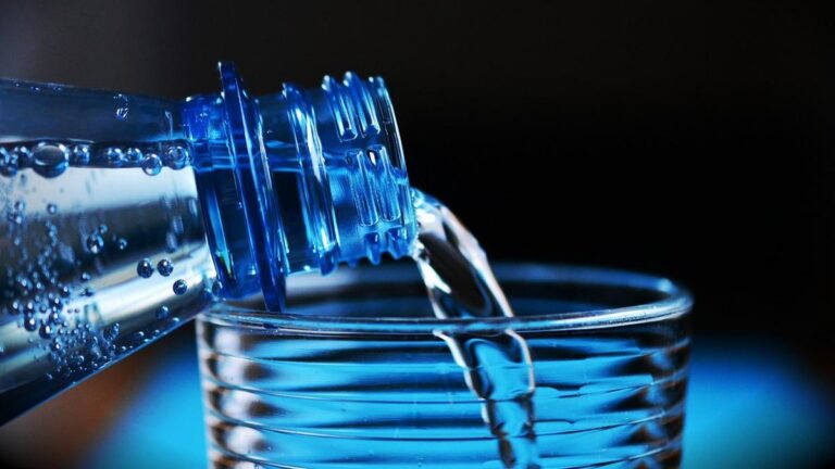 Estudios científicos confirman: tomar suficiente agua mejora el cerebro, el corazón y la digestión