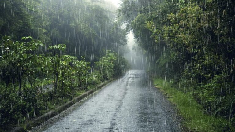 Lluvias en junio