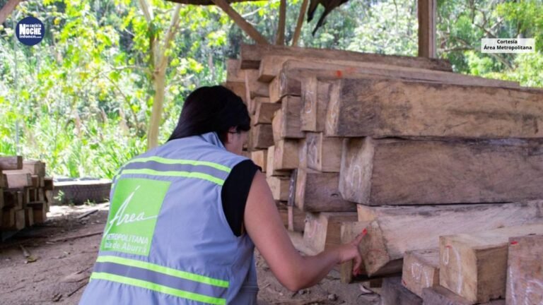 La forestación legal si es posible