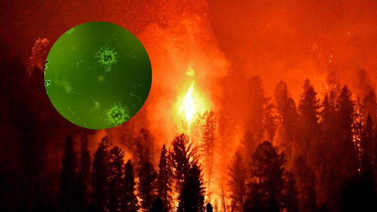Riesgo de influenza y COVID por incendios forestales