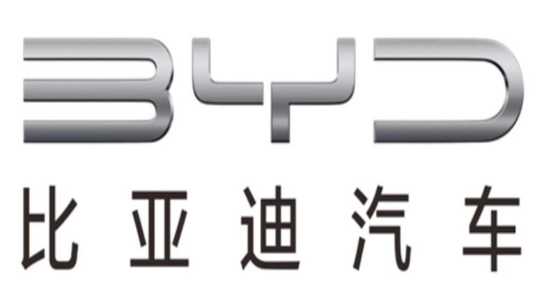 BYD, el mayor fabricante de vehículos eléctricos, ¿en crisis?