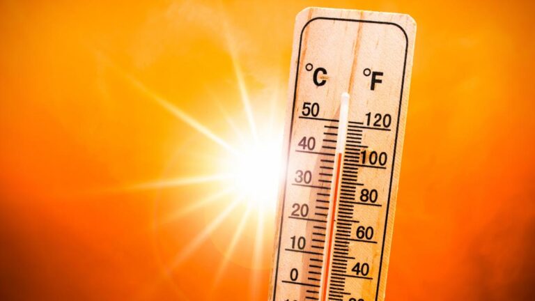 Calor extremo en Europa genera crisis sanitaria
