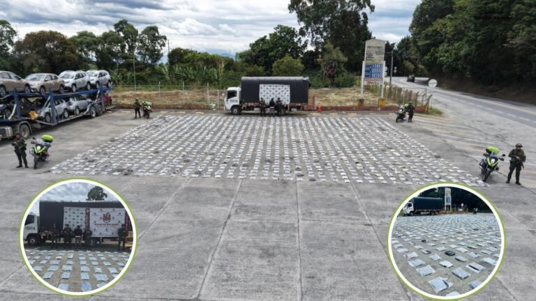 En el Cauca incautaro una tonelada de marihuana de alta calidad