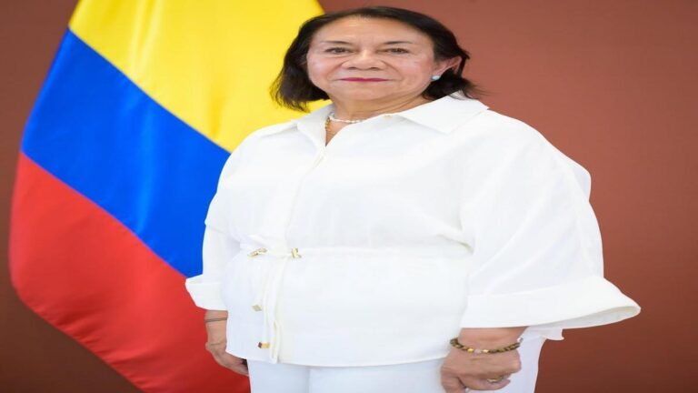¿Quién es Rosa Villavicencio, nueva canciller encargada?