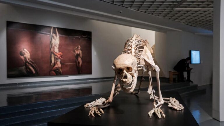 “Liturgias del cuerpo”: Colombia abre las puertas a un arte silenciado en el Banco de la República