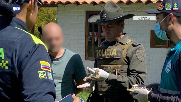 Fuego amigo entre las disidencias de las Farc dejó dos personas muertas y una herida