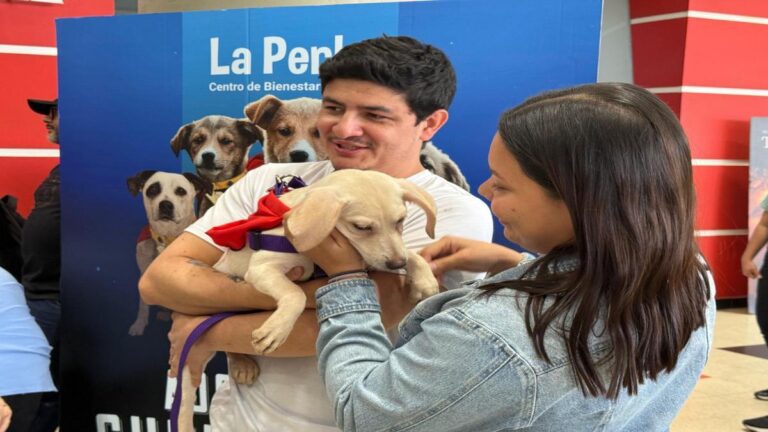 Más de 20 perros fueron adoptados en el primer fin de semana de “Adopta un Superhéroe”