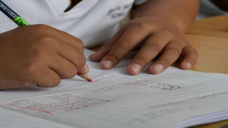 Alarmante. En riesgo 3,5 millones de estudiantes por posible suspensión del PAE