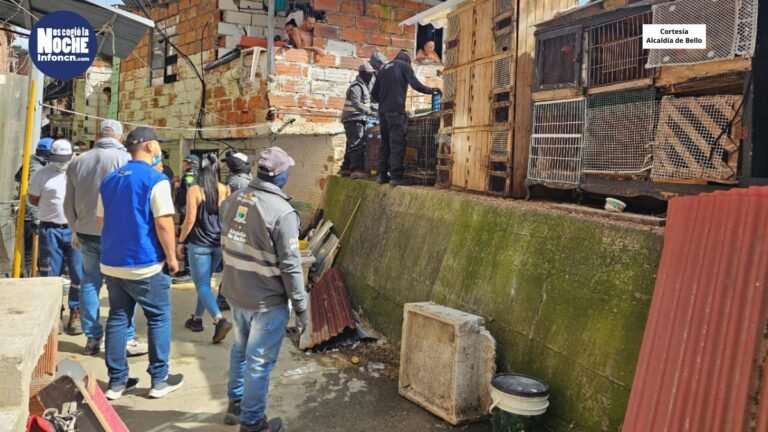 En Bello desmontaron un galpón y cuatro kioscos que estaban invadiendo el espacio público