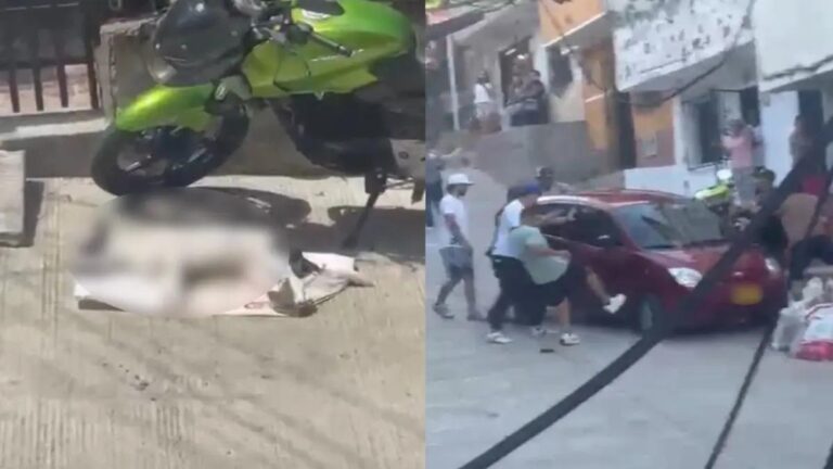 Investigan presunto envenenamiento de una perrita en el barrio Robledo Aures de Medellín