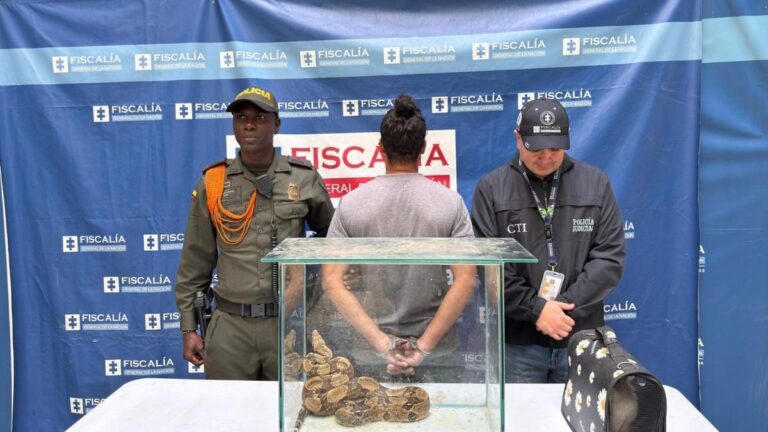 Capturan a hombre en Medellín por tenencia ilegal de boa constrictor