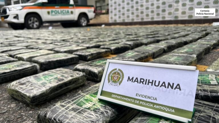 En la vía que comunica a Cali con Medellín fueron incautados 1.250 kilos de marihuana