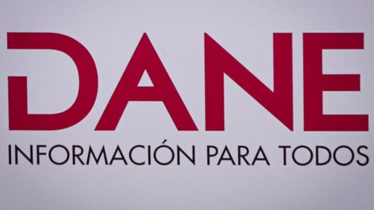 Solo 2 de cada 10 personas en condición de discapacidad acceden al mercado laboral en Colombia, según el DANE