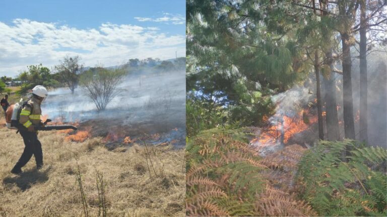 Cundinamarca: 30 incendios forestales afectan más de 80 hectáreas en dos semanas