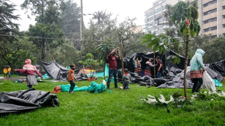 Bogotá confirma que 1.800 indígenas Emberá dejarán el Parque Nacional y regresarán a sus territorios
