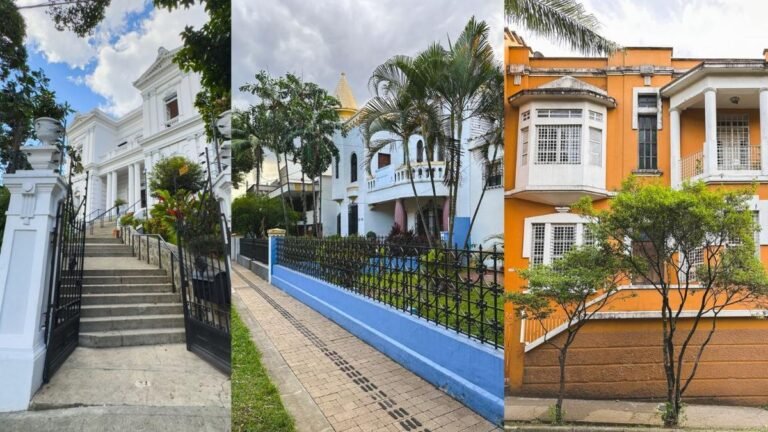Prado celebra el Mes del Patrimonio con arte, memoria y proyección urbana