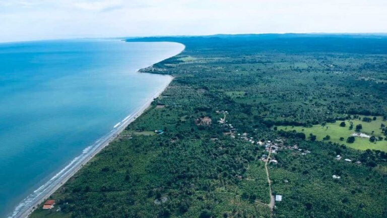 Víctimas reclaman tierras a Chiquita Brands en Urabá